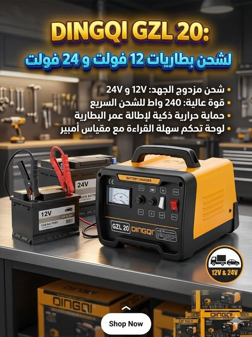 Chargeur de batterie professionnel DINGQI