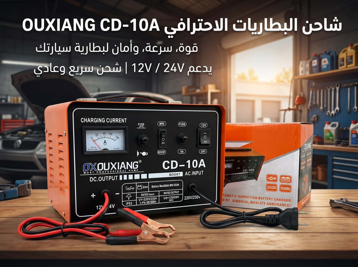 Chargeur de batterie de voiture professionnel