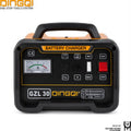 Chargeur de batterie professionnel DINGQI